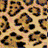 graphic